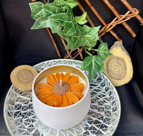 Blütenzauber Orange